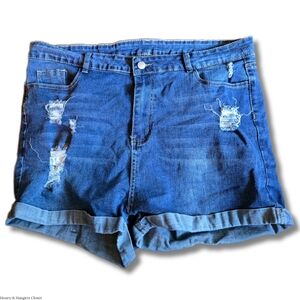 High-Rise/Mid-Rise Distressed Jean Shorts | Size - 3XL